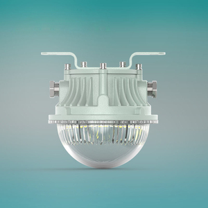 Explosion Proof Lights14751