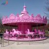 Carousel Rides2951