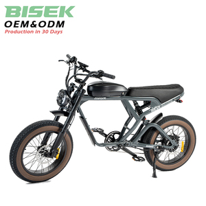 Multi-purpose Electric Bicycles4504