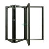 Folding Doors1659
