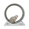 Other Pet Toys5836