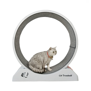 Other Pet Toys5836