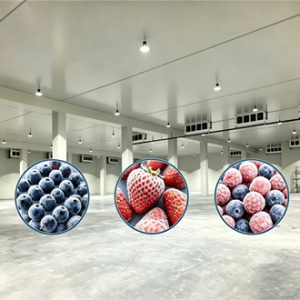 Frozen Fruit78400