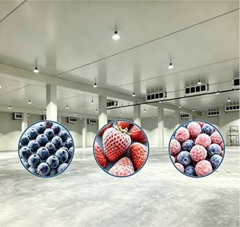 Frozen Fruit78400