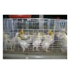 Aquaculture Cage Net98322