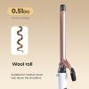 Hair Rollers12680