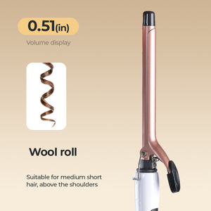 Hair Rollers12680