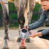 Veterinary Treatment Equipment80414