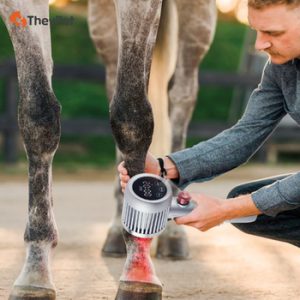 Veterinary Treatment Equipment80414