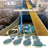 Shrimp industry cluster equipment Factory Code 19426