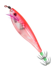 Fresh Squid4797