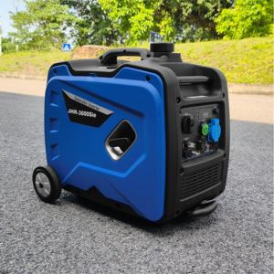 Gasoline Powered Generators12198