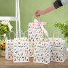 Gift Present Bags6420