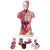 Medical Science11342