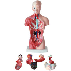 Medical Science11342