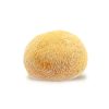 Mushroom Fungus Edible6013