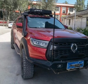 Car Antennas11013