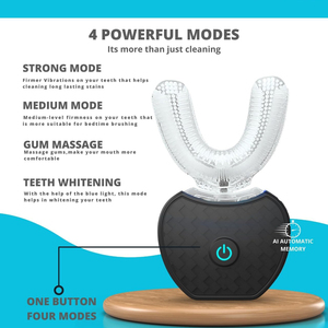 Toothbrush Sterilizers5081