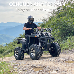 Electric ATV11964