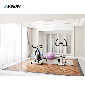 Fitness Mirrors2907