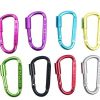 Promotional Keychain Carabiner82274