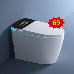 Intelligent bathroom fixtures Factory Code 14244