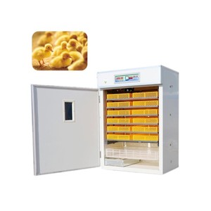 H32cb5500775b42e29eded2c18dbe33915_300x300