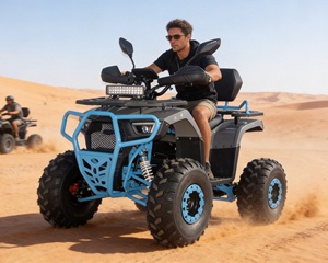 Four-Wheel Quad Bicycles6619