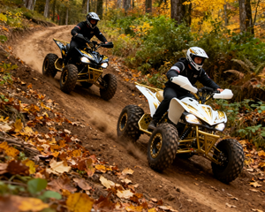 ATV & UTV Quad Bikes6620
