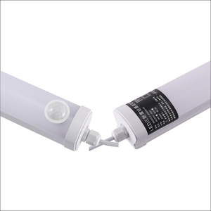 Induction Electrodeless Lamps10748