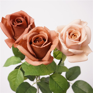 H37c6d4e66c1b44daa56ccec85397a2bfm_300x300