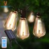Decorative Accent Lights5980