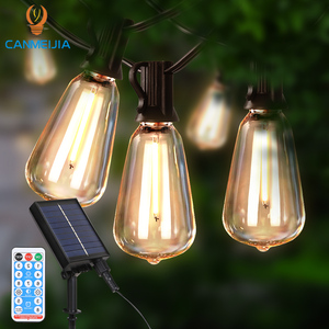Decorative Accent Lights5980