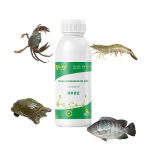 Shrimp medicine Factory Code 21568