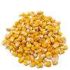 Corn Factory Code 1517