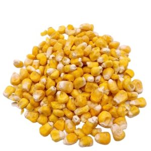Corn Factory Code 1517