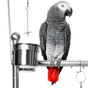 H3ad59b2ce2544da8840ca699525eb94bJ_300x300