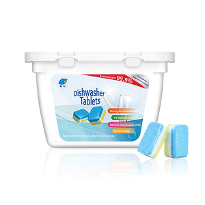 Dish Washing Detergent4569