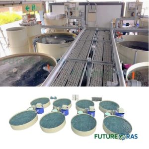Equipment for comprehensive bonded zone of shrimp industry Factory Code 19580