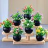 Decor Ornaments13772