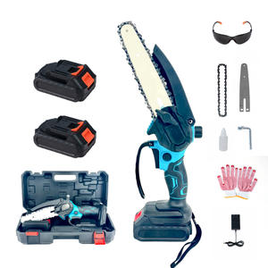 Saws5009