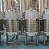 Temperature Controlled Fermentation Equipment6174