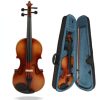 Violin Musical Instruments4975