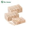 Clothespins12360