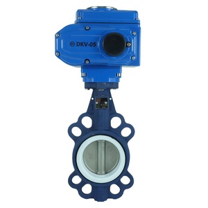 Butterfly Valves14895
