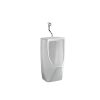 Wall & Floor Mount Urinals2325