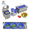 Fruit Vegetable Washing Machines19484