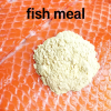 Feed Enzyme Preparation83116