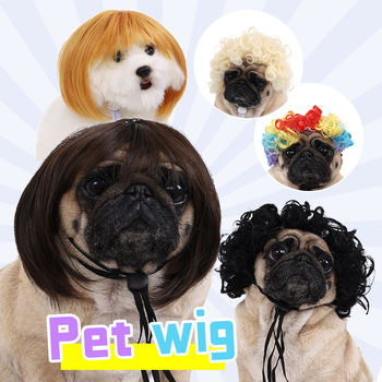 Modified PET Plastic81477