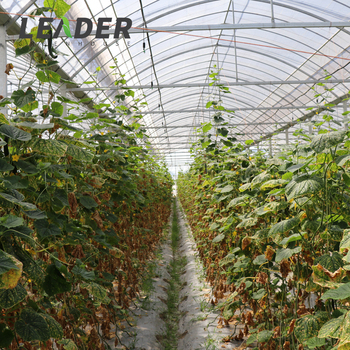 Agricultural Greenhouse81469